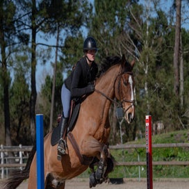 dsc_7664-standard.jpg