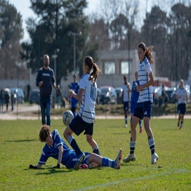 dsc_8186-standard.jpg