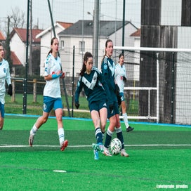 dsc_8276-standard.jpg