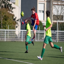 dsc_9262-standard-bpl28r.jpg