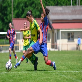 dsc_9490-standard.jpg