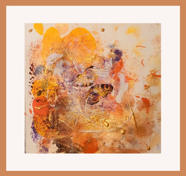 "Sunbathing Butterfly"