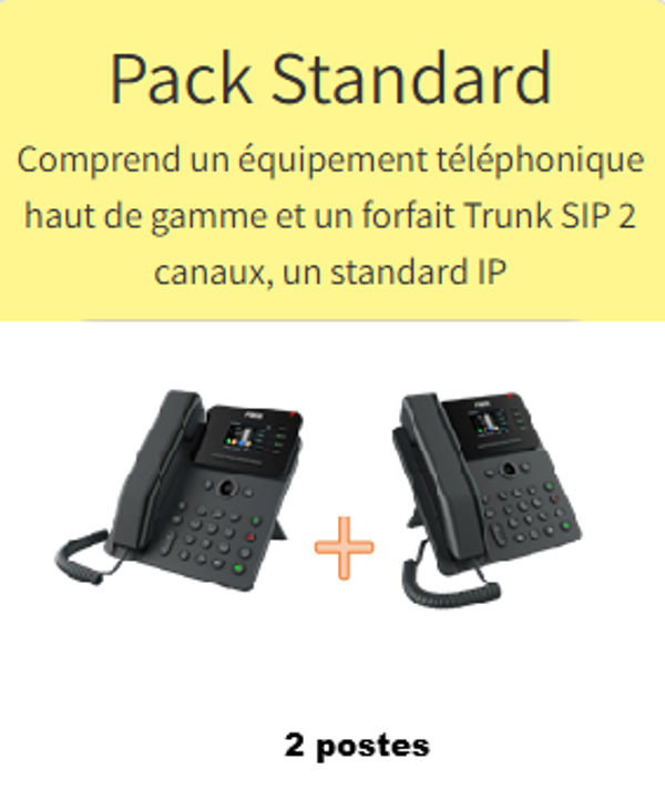 PACK STANDARD 2 POSTES 12 MOIS