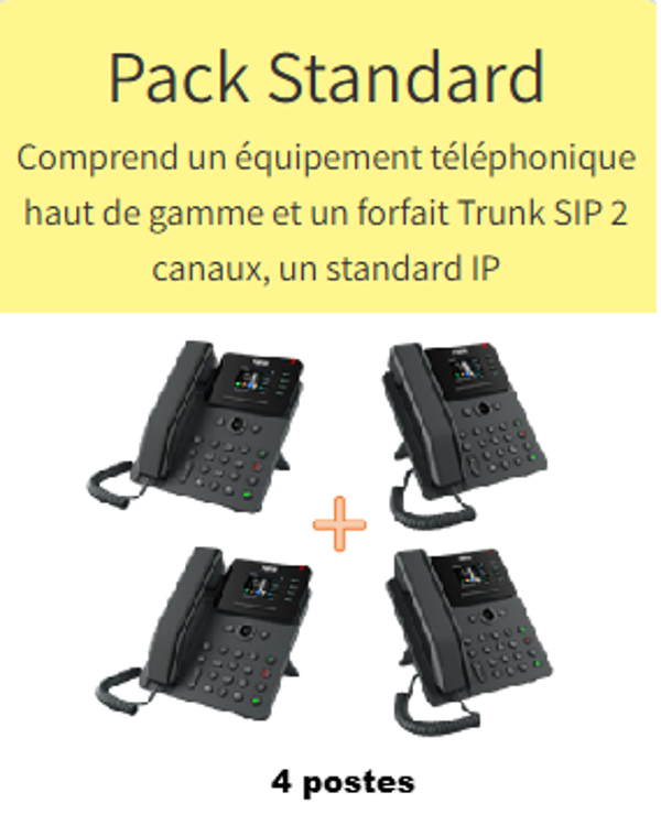 PACK STANDARD 4 POSTES 12 MOIS