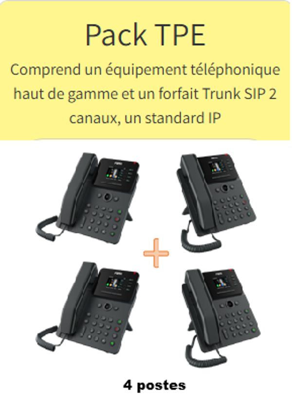 PACK TPE 4 POSTES 12 MOIS