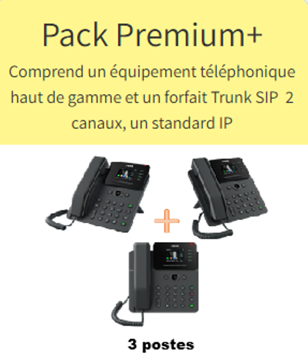 Pack Prenium + 3 postes 12 mois