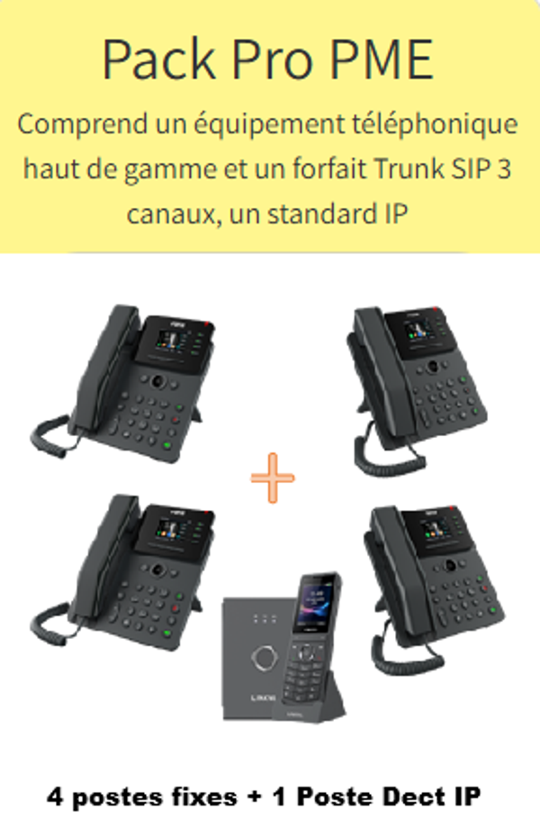PACK STANDARD 5 POSTES 12 MOIS