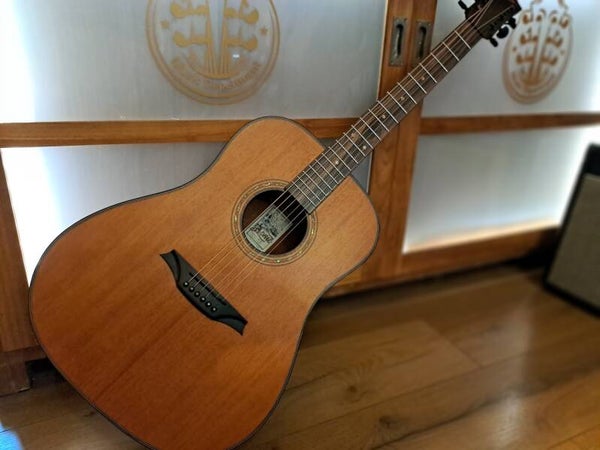 OCCASION Bromo BAT1M Dreadnought