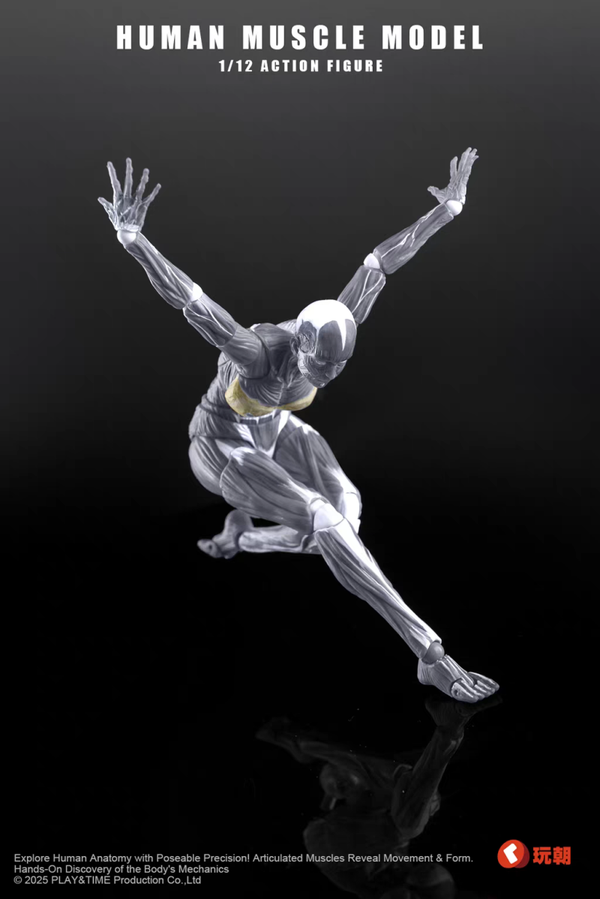 ​[Pre-Order] PLAY&TIME - Human Muscle Model 1/12 Action Figure