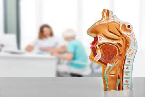 Preparing for Your ENT Visit in Singapore: Key Steps