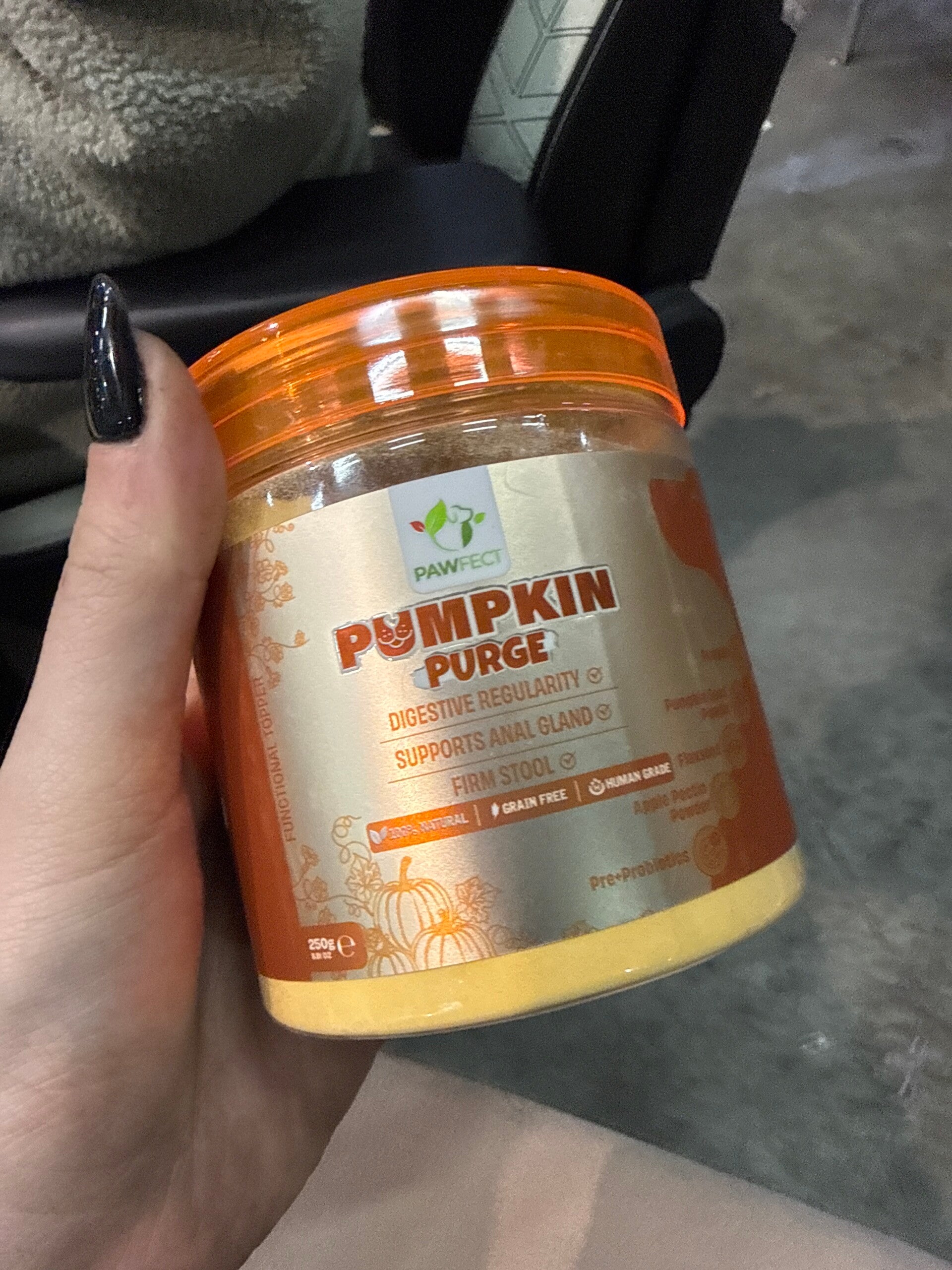 Pawfect - Darmen - Pumpkin Purge - B14.5