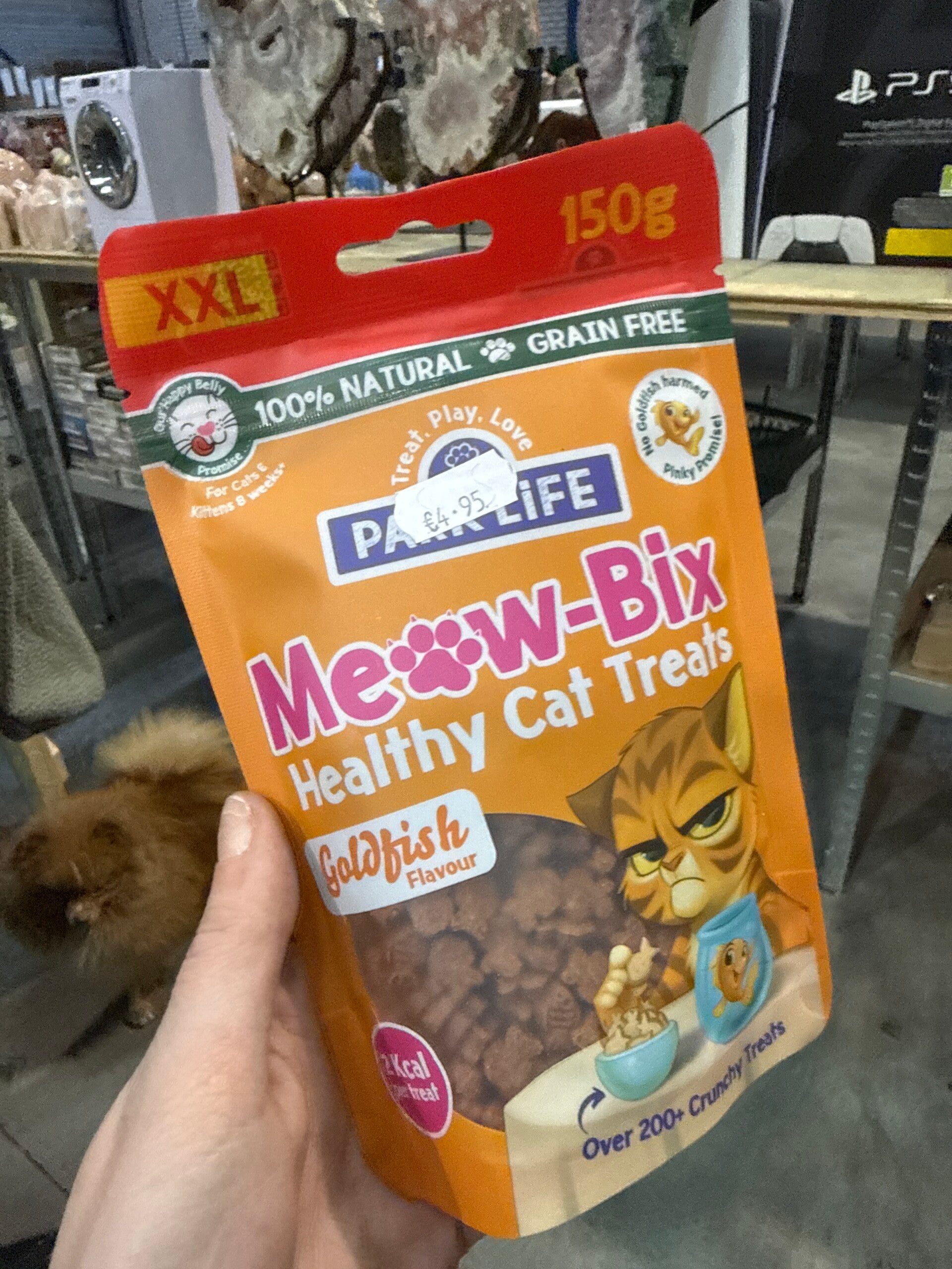 Park life - Meow Bits - Goldfish - B17.2