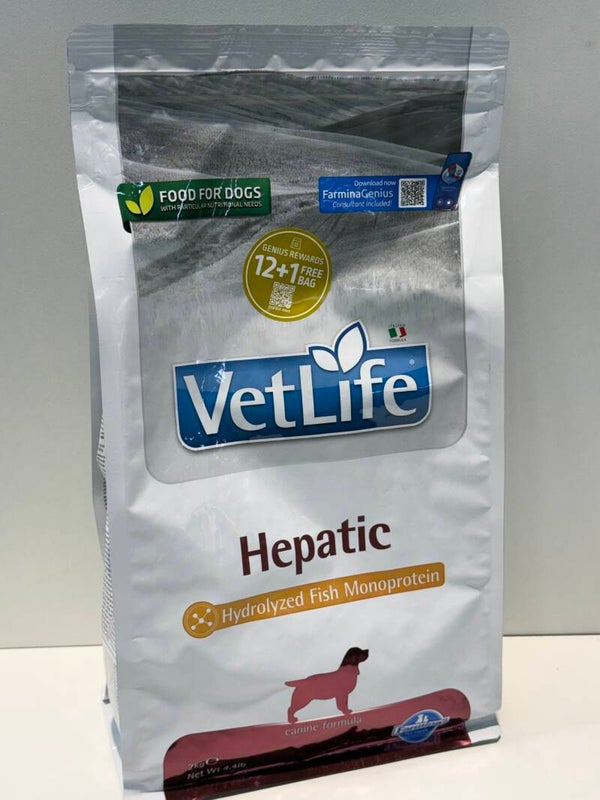 Vetlife - Hepatic - Brokken - 2kg (lever functie) - C10.1