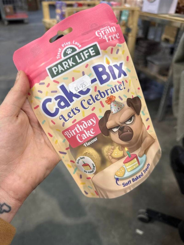 Park Life - Cake Bix - Birthday cake - C1.2