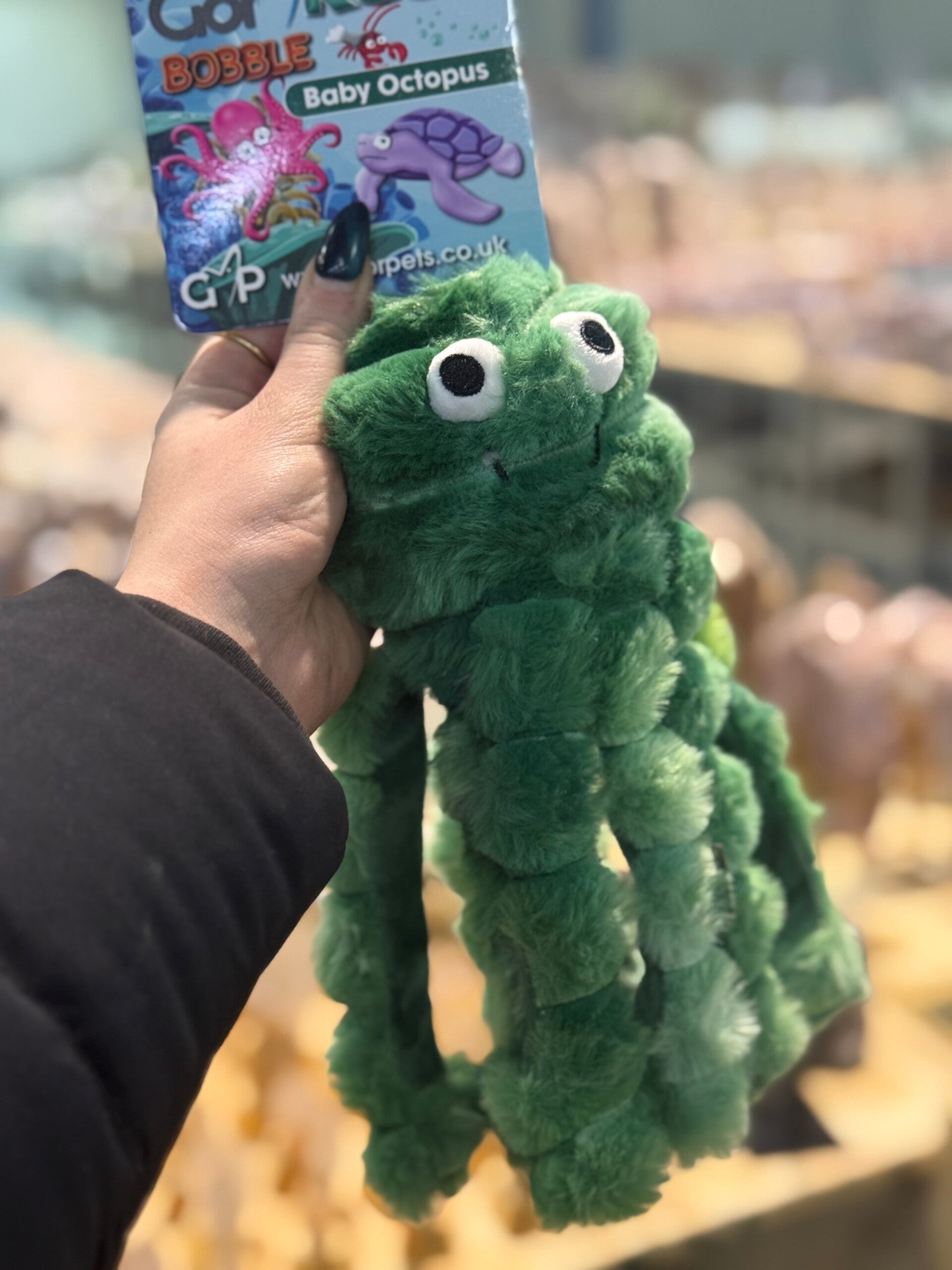 GOR reef - Baby octopus A17.4