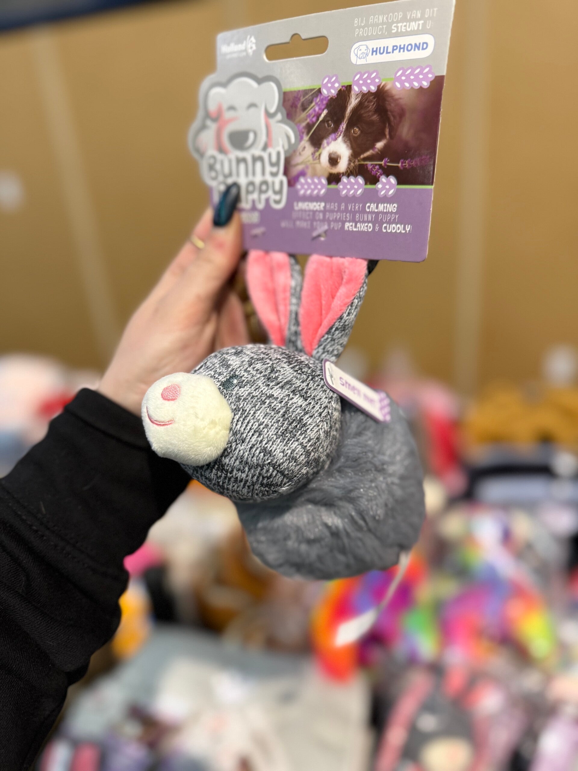 Bunny Puppy - Chubby A8.2