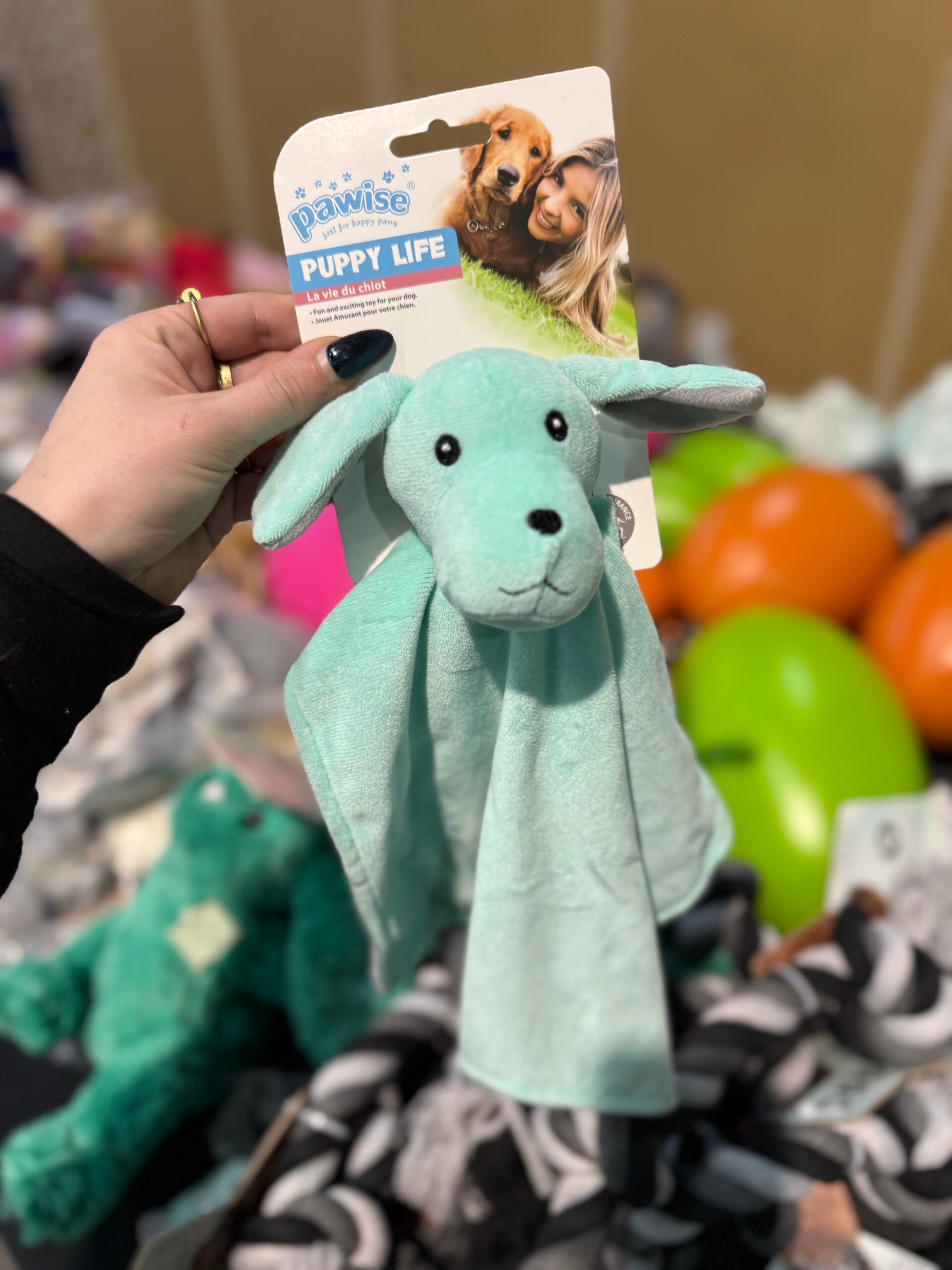 Pawise - Blanket toy Puppy