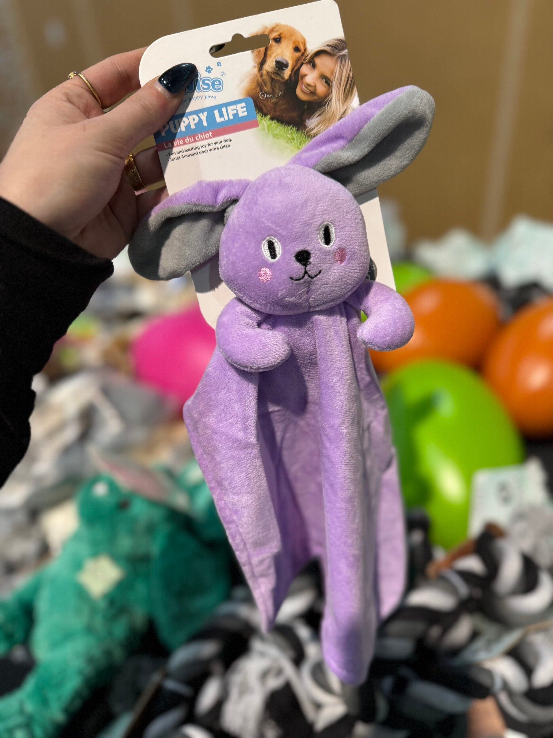 Pawise - Blanket toy Puppy