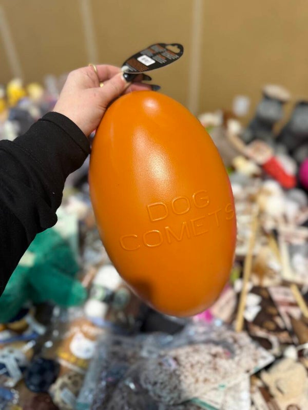 Dog Comet - Pan Star Ei L - Oranje A24.1