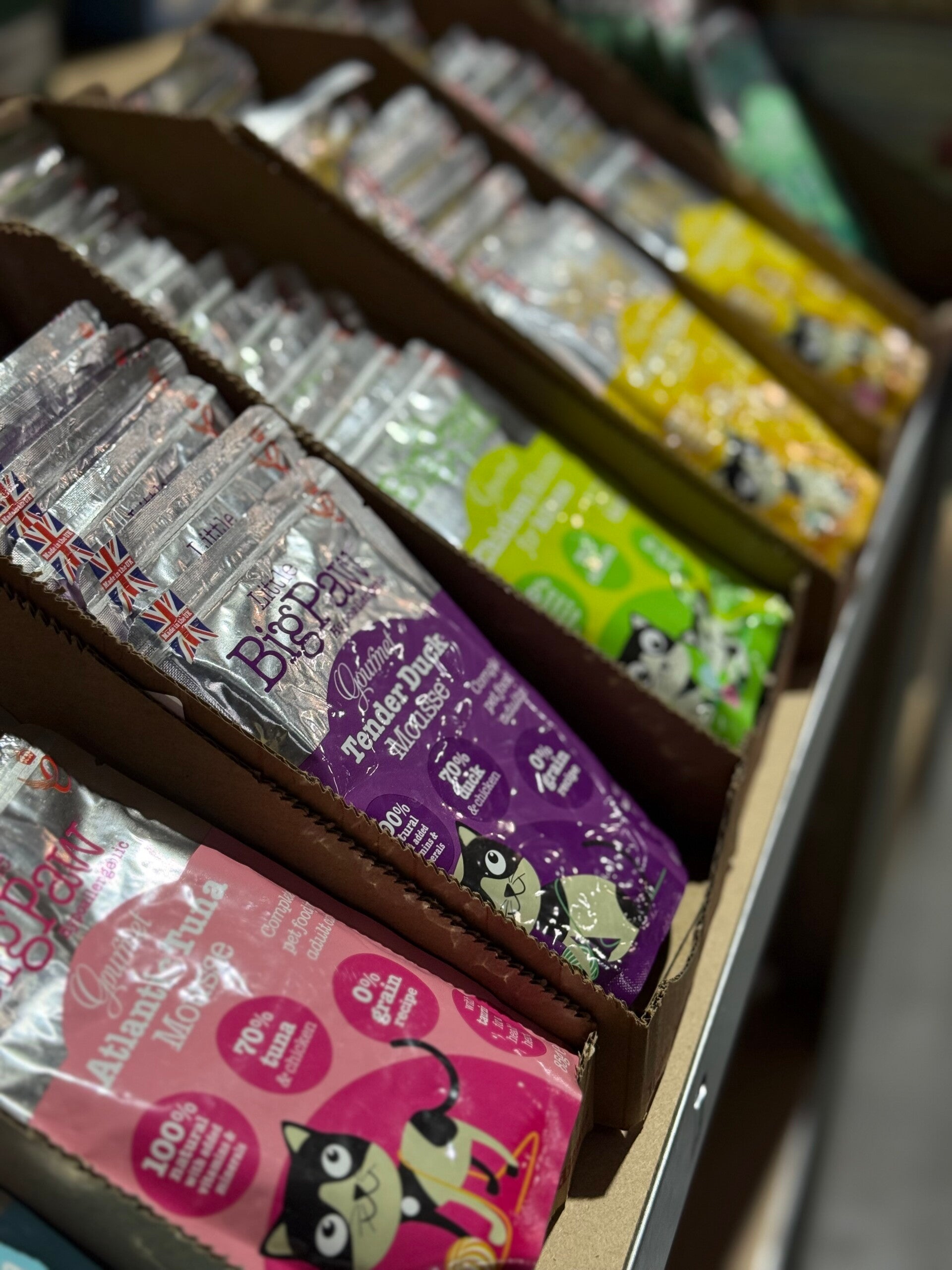 Little big Paws - Atlantic Mouse  (korte tht) - C10.4