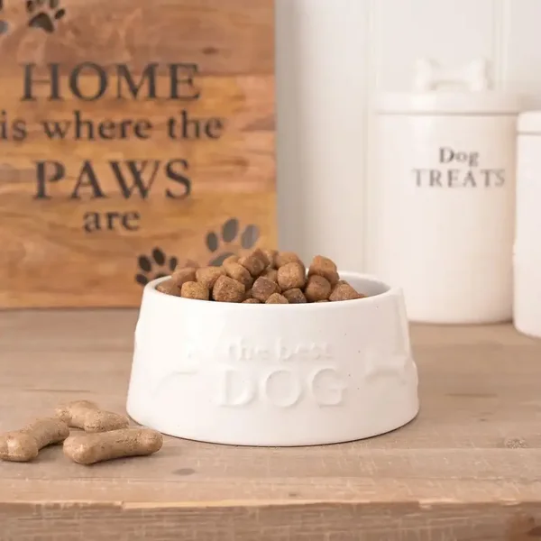 Best of Breed - Paw Print - Dog Bowl