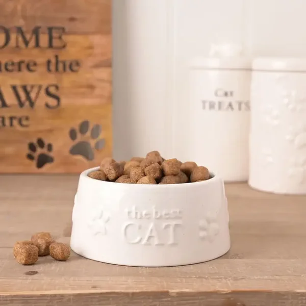 Best of Breeds - Paw Prints - Cat Bowl