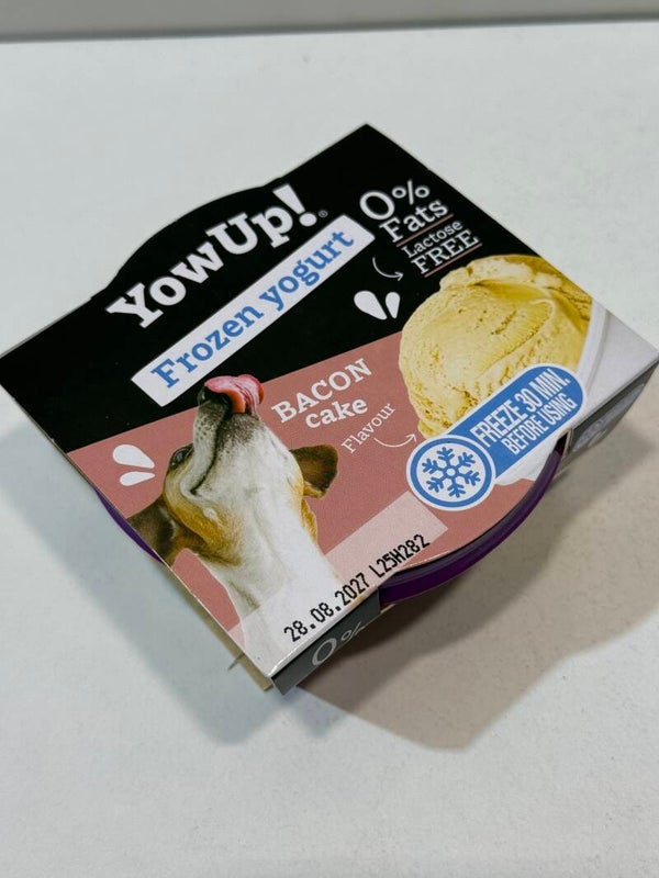 Yowup! - Frozen Yogurt - Bacon Cake - B5.10