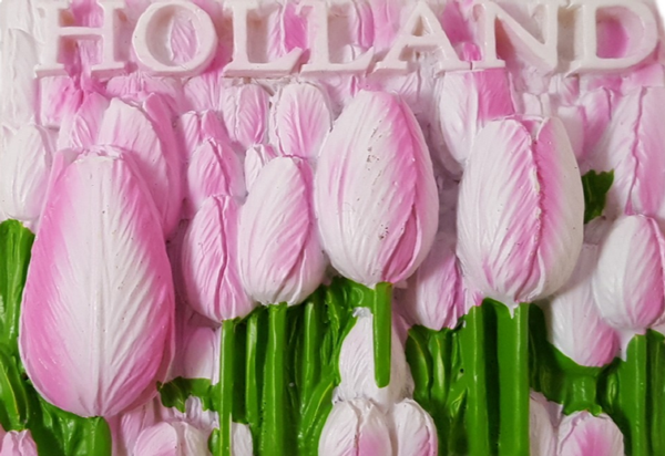 MGTH-359Pi | Polystone Magneet | Tulpen Roze Holland