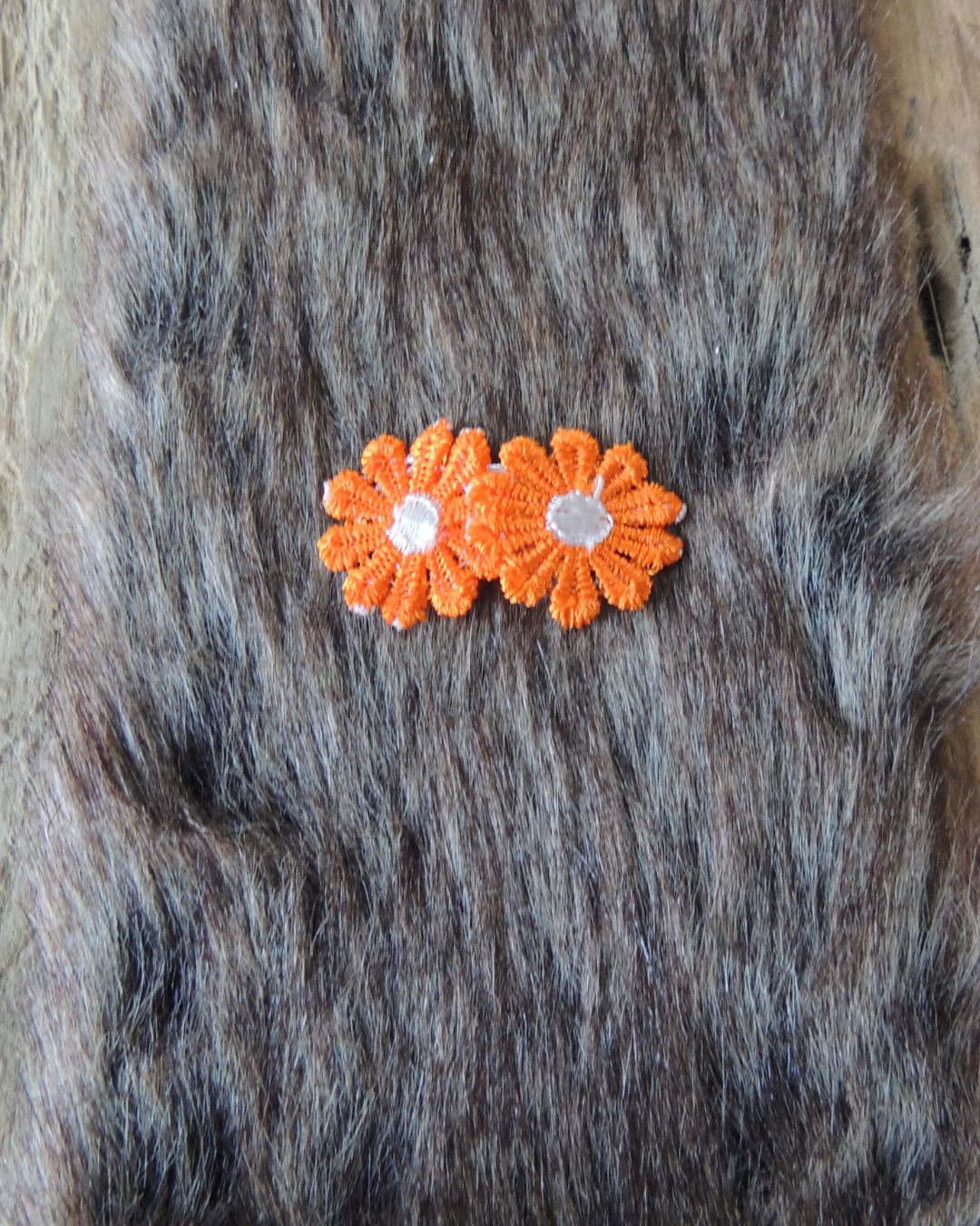 Mijn eerste koningsdag