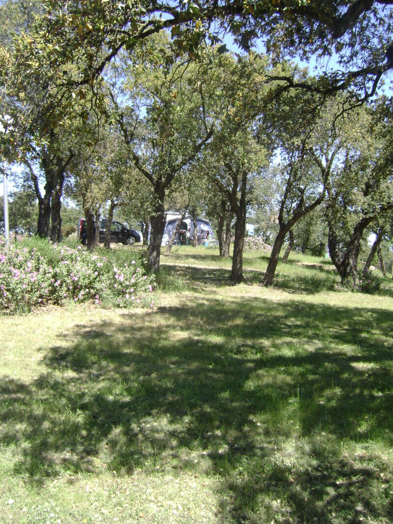 012-standard.jpg