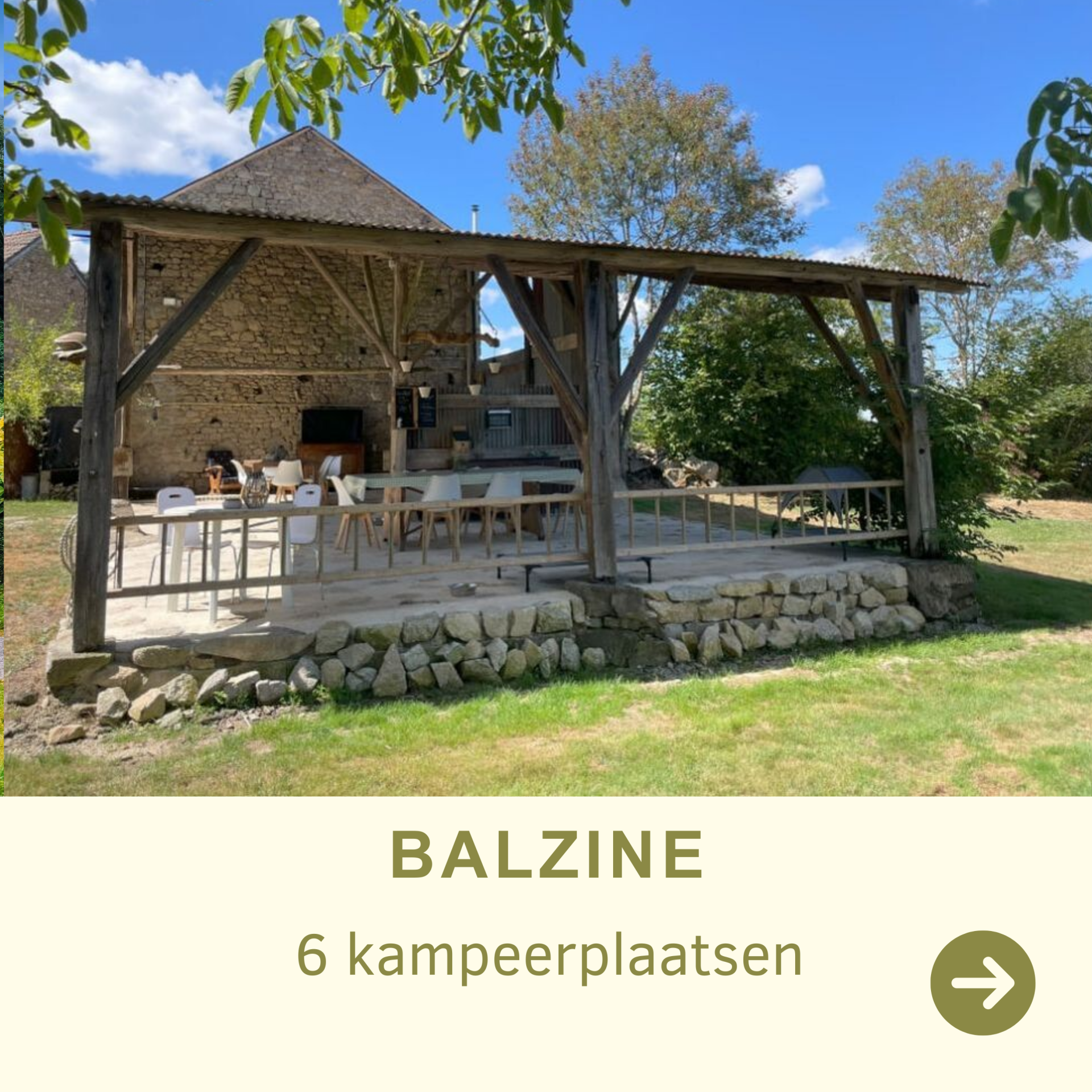 BALZINE 