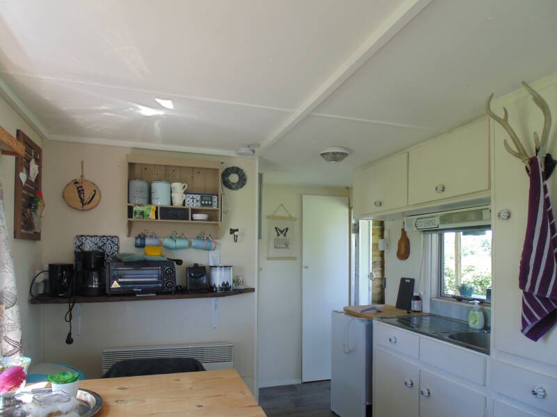 am-010-groot-dsc01866_pe-standard-516r37.jpg