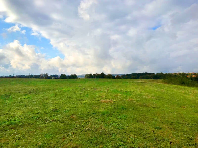 camping3uitzichtedit-standard.jpg