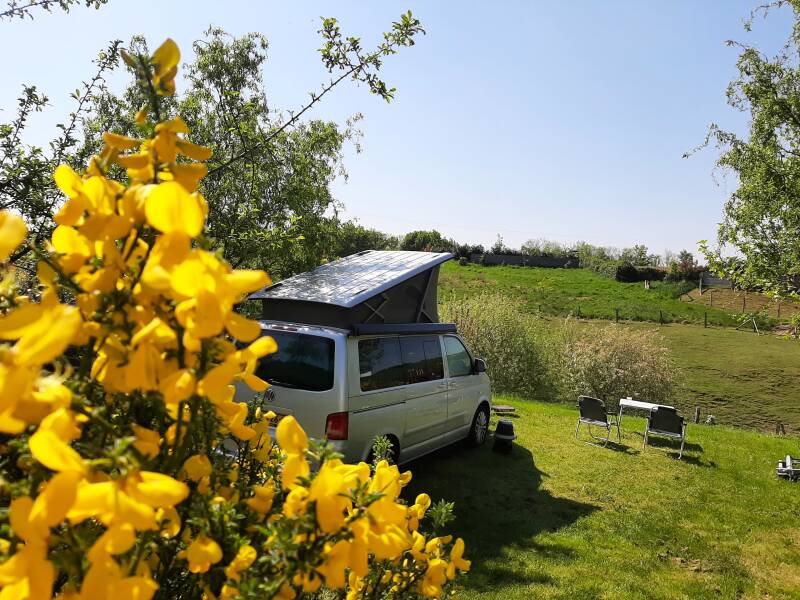 estefana26-7-standard-tt7bdm.jpg
