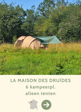 la maison des druïdes