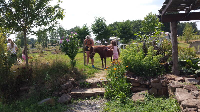 pony-s-poetsen-le-douvet-standard.jpg