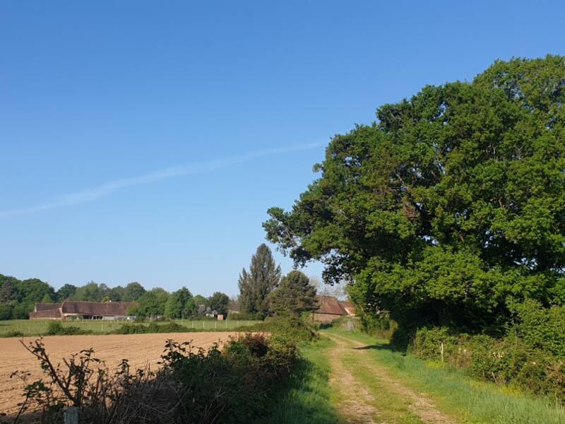 vivelavie-kc-010-standard.jpg