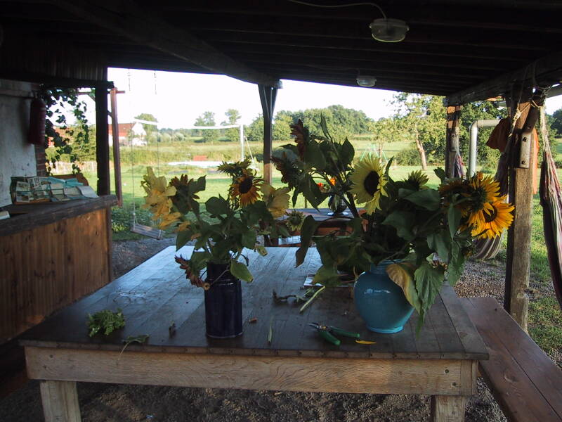 zonnebl-in-vaas-2002-standard.jpg