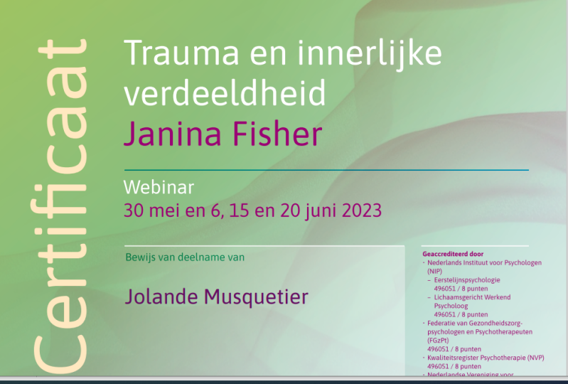 trauma en innerlijke verdeeldheid, training, certificaat, therapie, therapeut