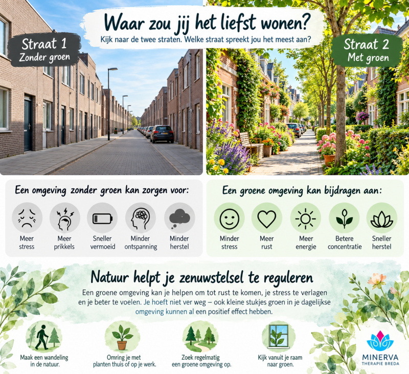 Vergelijking van een straat zonder groen en een straat met bomen, bloemen en planten. Infographic over natuur, stressvermindering en ontspanning.