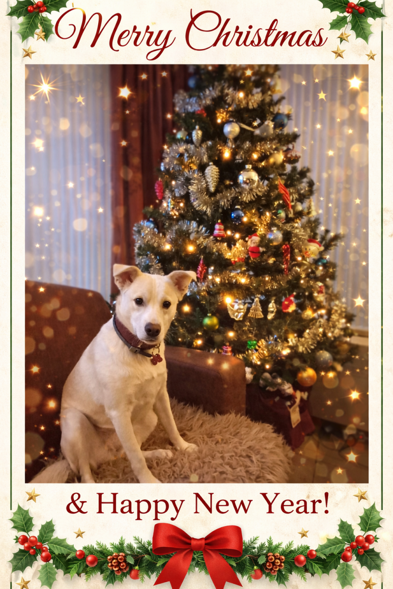 Zara hulphond met kerstboom en kerstwensen