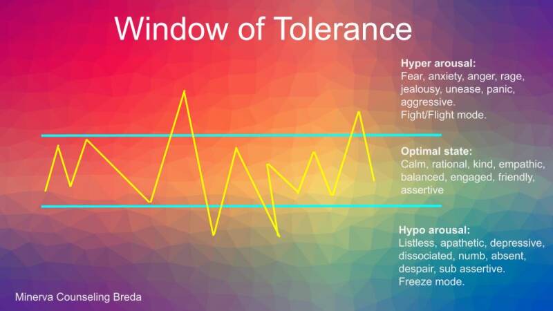 traumatherapy Breda, Window of Tolerance explained