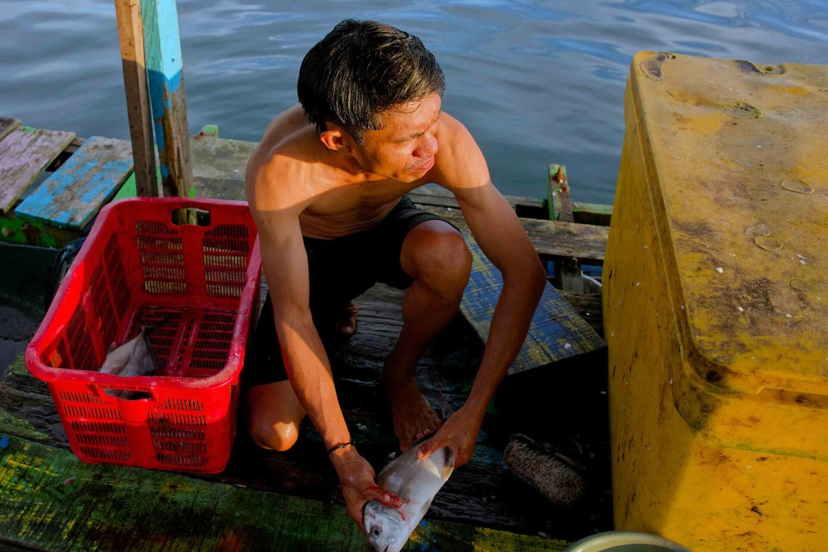 A young fisherman is preparing fish for the local restaurant in Desa Poka, Ambin City, Maluku, Indonesia