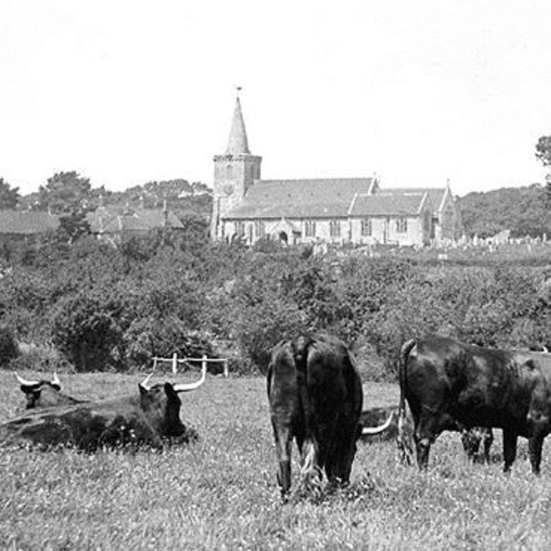 1890-1914bradingchurch2jpg-1.jpg