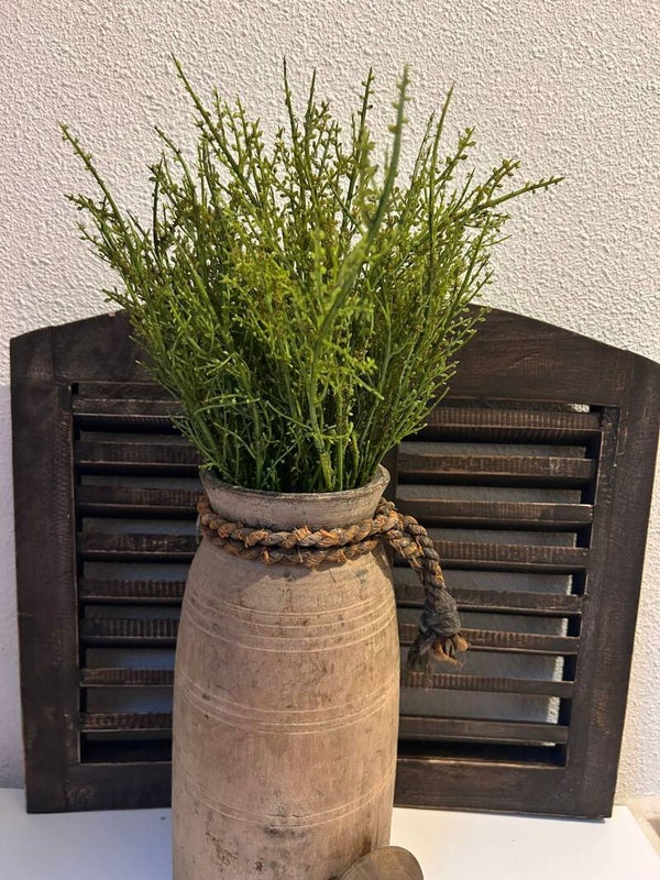 Bosje twijgjes (groen)