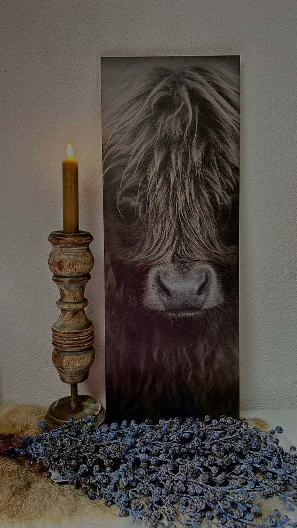 Decoratie bord (schotse-hooglander)