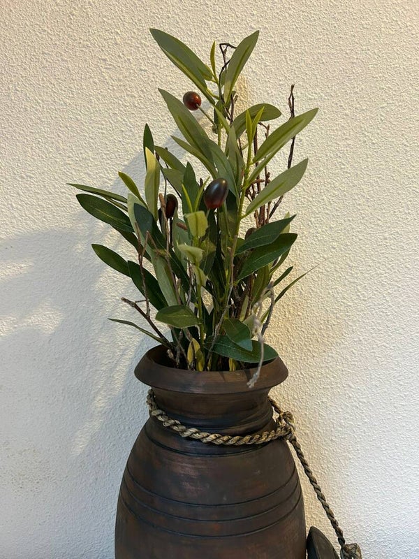 Toef van Twijgtakjes & Olijftakken