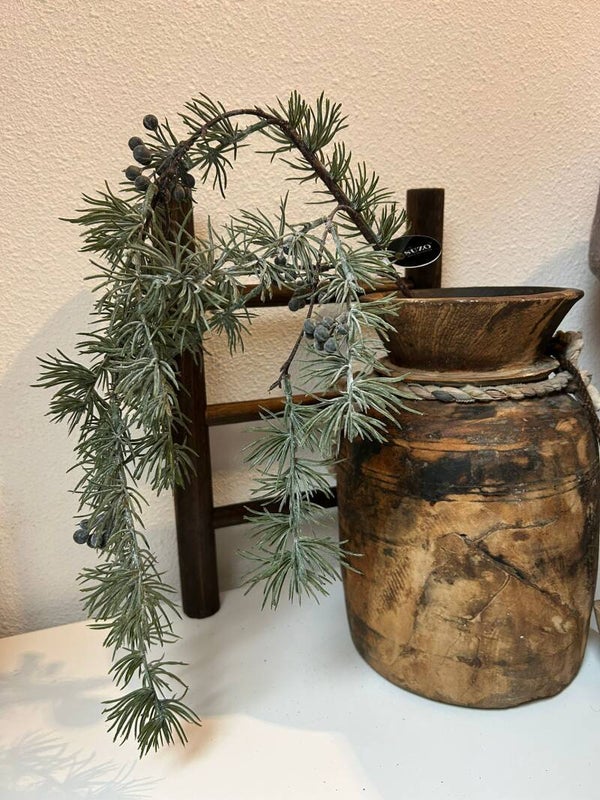 Jeneverbes tak (hanger)