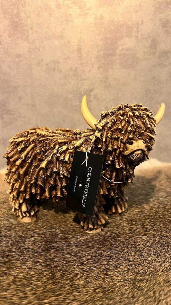 Beeld Hooglander (Countryfield)