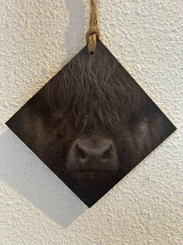 Mini deco hanger (schotse hooglander)